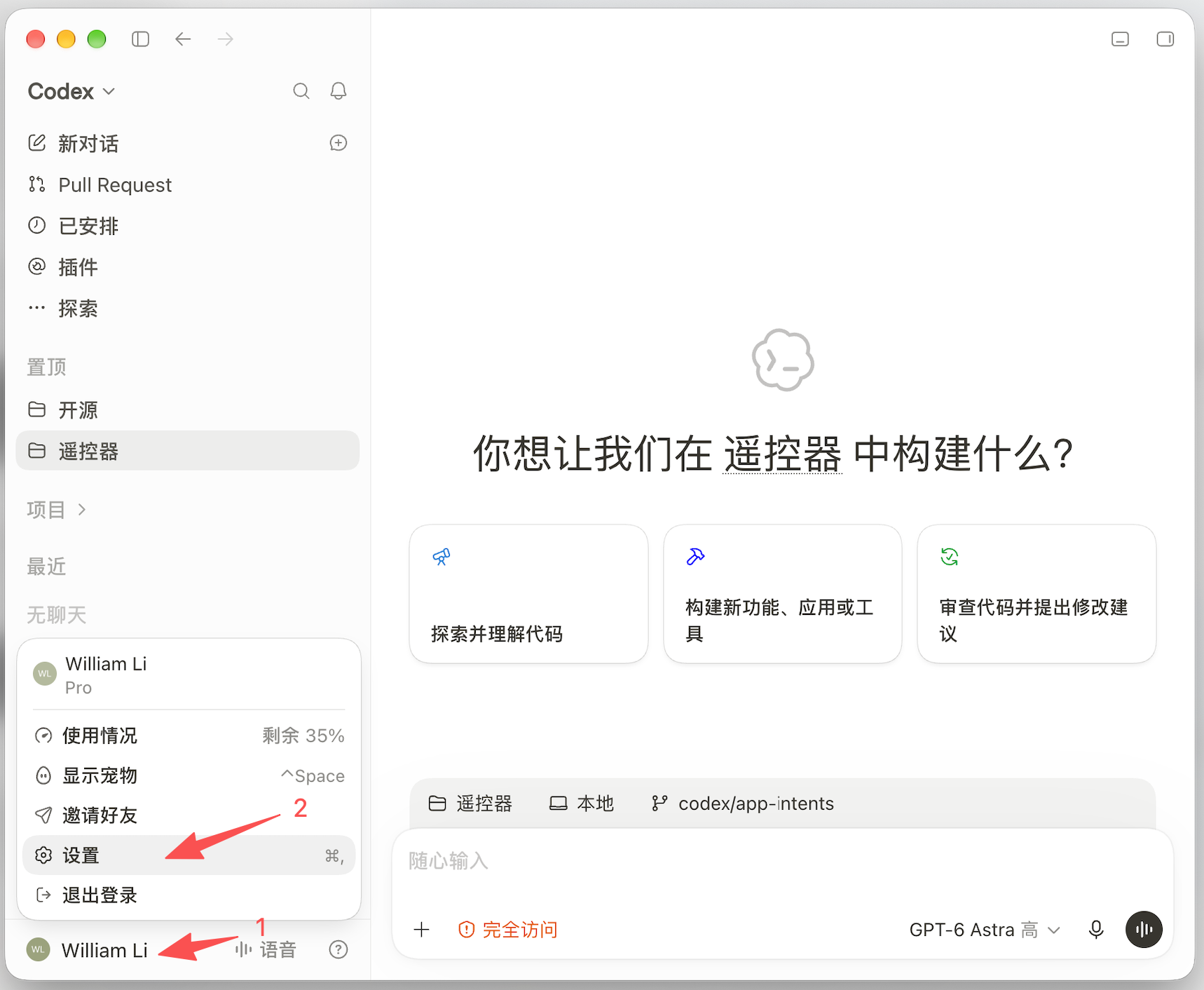 Codex 接入教程截图 1