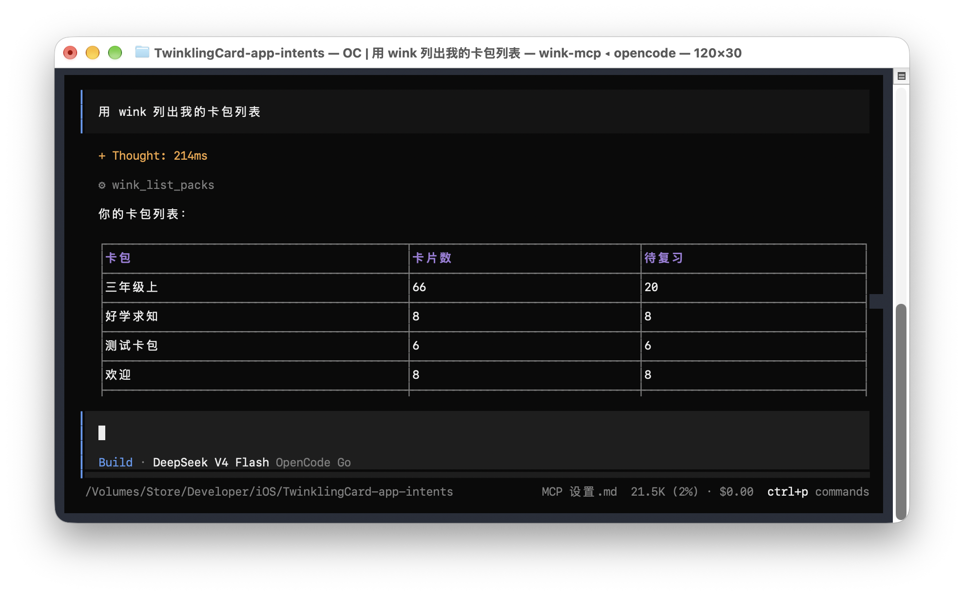 OpenCode 接入教程截图 2
