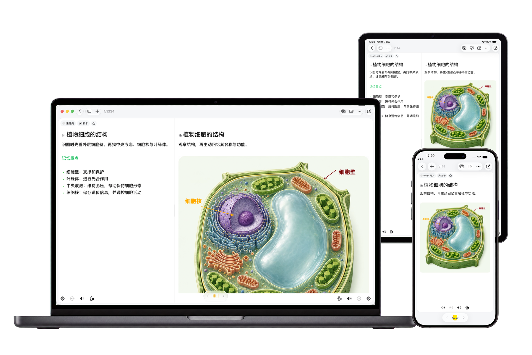 同一份考研政治卡包在 Mac、iPad 和 iPhone 上连续学习